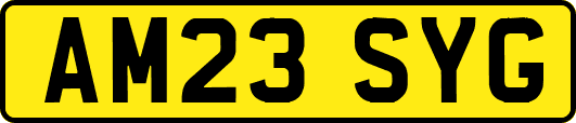 AM23SYG