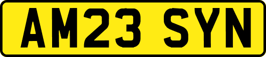 AM23SYN