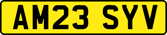 AM23SYV