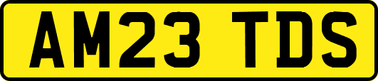 AM23TDS