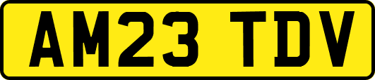 AM23TDV