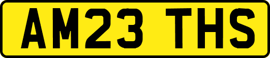 AM23THS