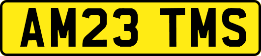 AM23TMS