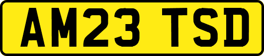 AM23TSD