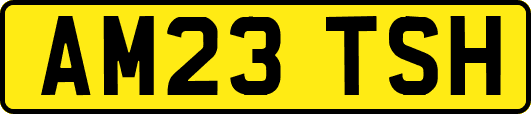 AM23TSH