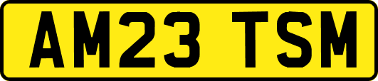 AM23TSM
