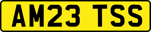 AM23TSS