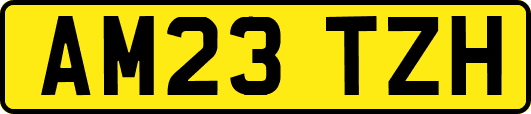 AM23TZH