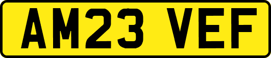 AM23VEF