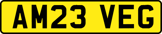 AM23VEG