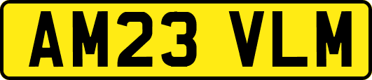 AM23VLM