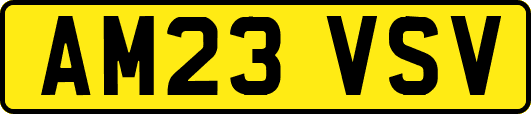 AM23VSV