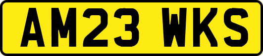 AM23WKS