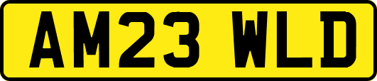 AM23WLD