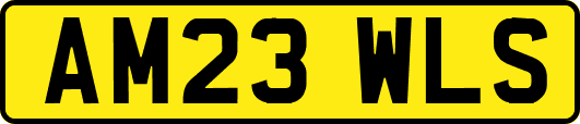 AM23WLS