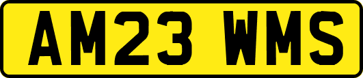 AM23WMS