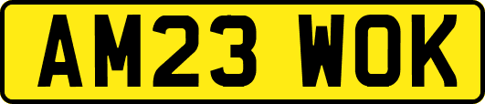 AM23WOK