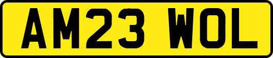 AM23WOL