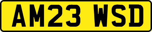 AM23WSD