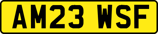 AM23WSF