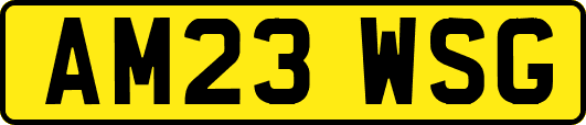 AM23WSG