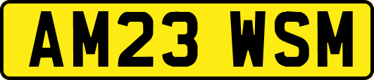 AM23WSM