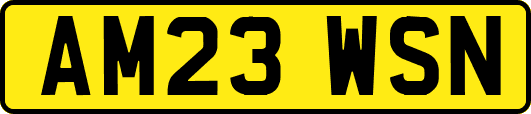 AM23WSN