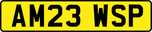 AM23WSP