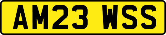 AM23WSS