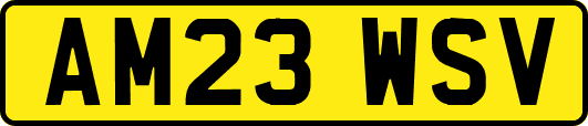 AM23WSV