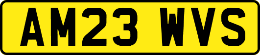 AM23WVS