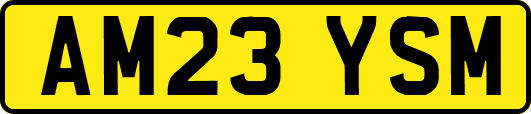 AM23YSM