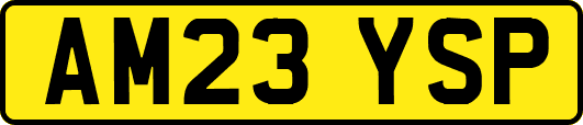 AM23YSP