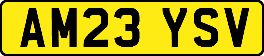 AM23YSV