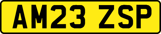 AM23ZSP