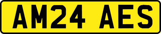 AM24AES