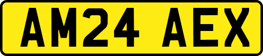 AM24AEX