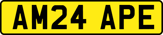 AM24APE