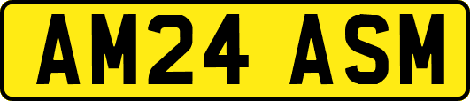 AM24ASM