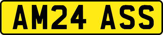 AM24ASS