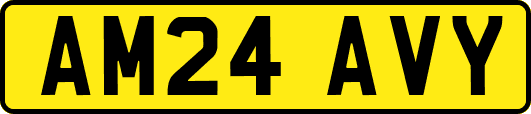 AM24AVY