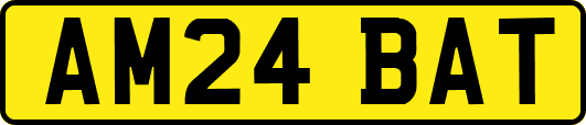 AM24BAT