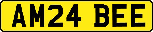 AM24BEE