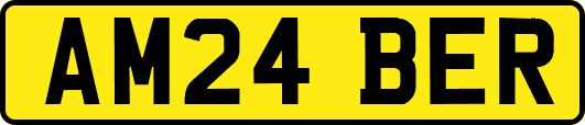 AM24BER