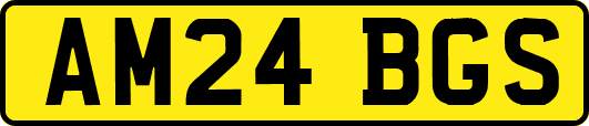 AM24BGS