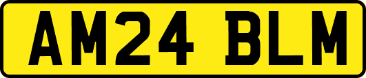 AM24BLM