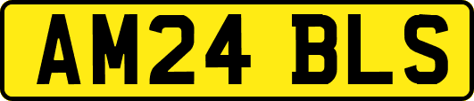 AM24BLS