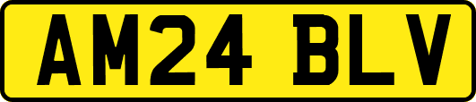 AM24BLV