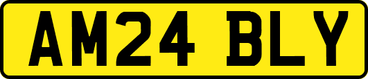 AM24BLY
