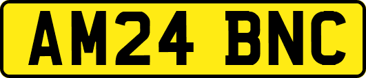 AM24BNC